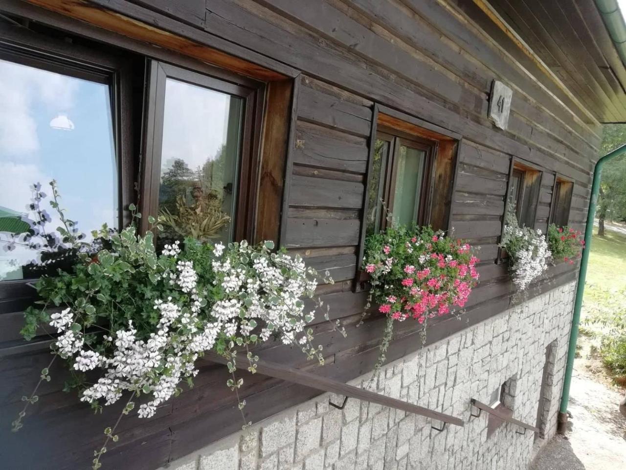 Hotel Penzion Pohlednicka à Benecko Extérieur photo